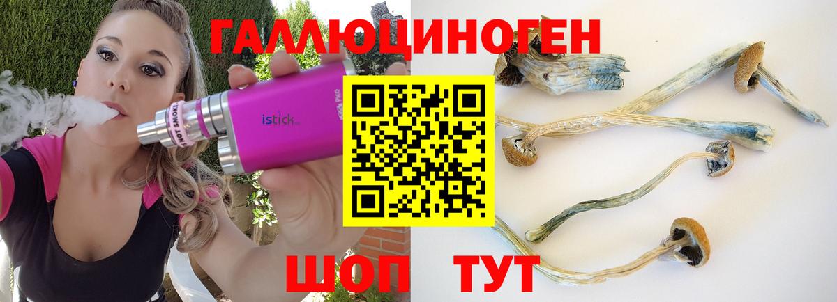 Псилоцибиновые грибы Psilocybine cubensis  Вход с VPN  Геленджик  Галлюциногенные грибы Psilocybine cubensis 